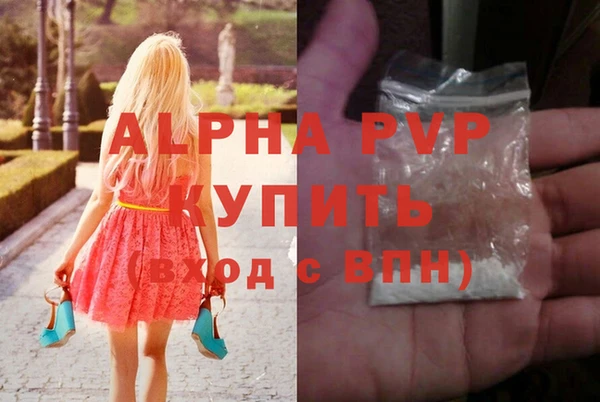 стафф Богородицк