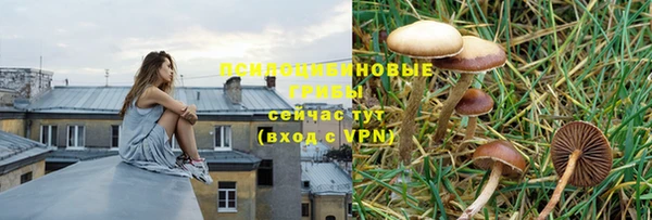 2c-b Бородино