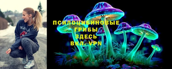 шишки Богородск