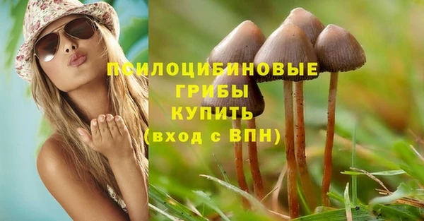 2c-b Бородино