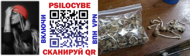 Галлюциногенные грибы Psilocybe  Самара 